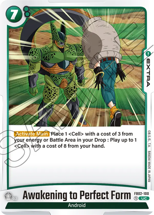 Awakening to Perfect Form - FB02-100